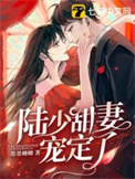 陆少甜妻宠定了小说