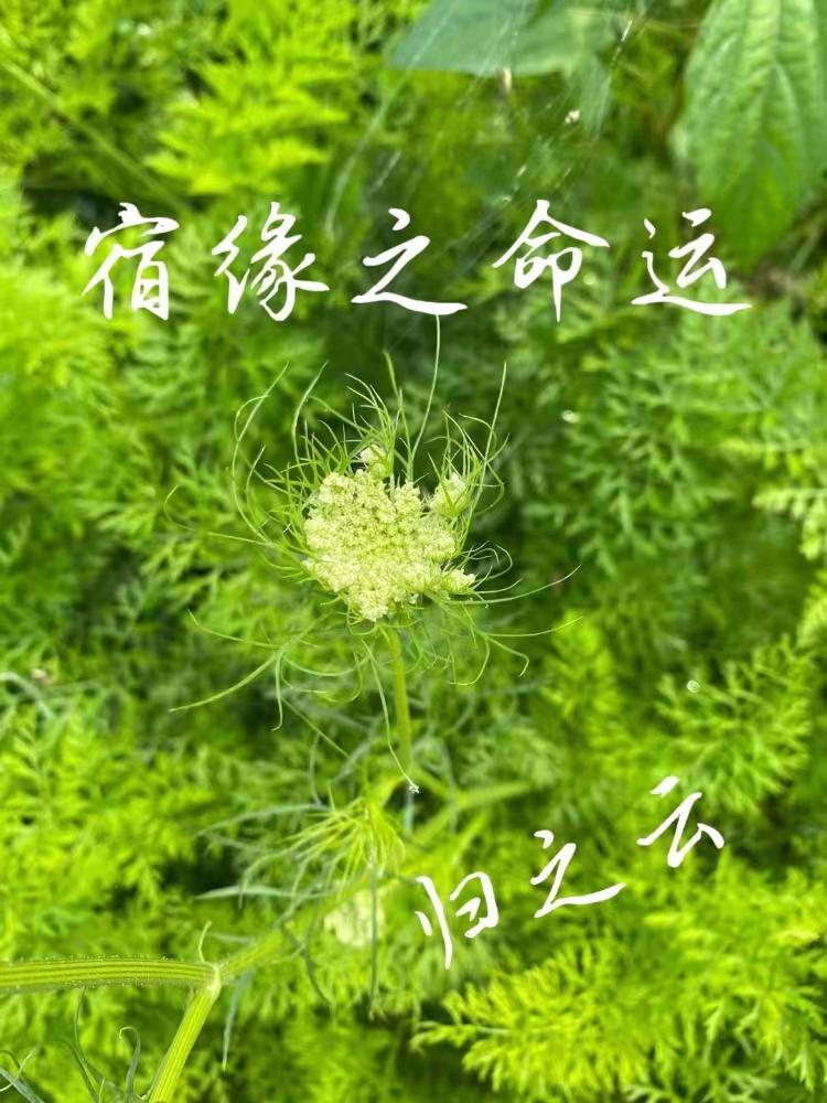 诉源治理 提案答复