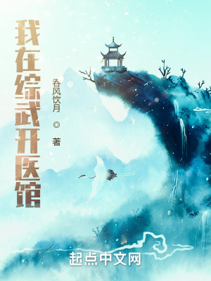 我在综武写日记