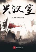 兴汉新区债务