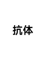抗体能穿过血管吗